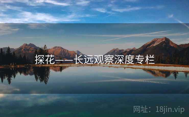 探花——长远观察深度专栏