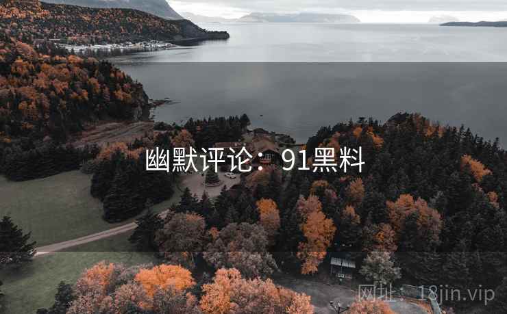 幽默评论：91黑料  第2张