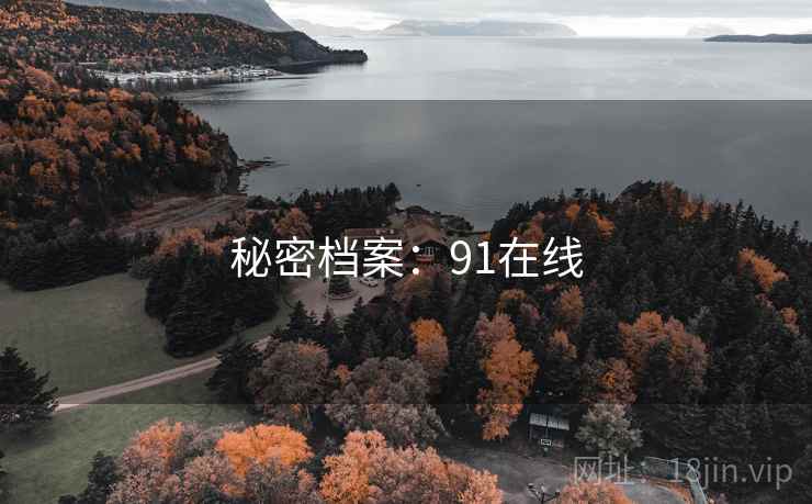 秘密档案：91在线
