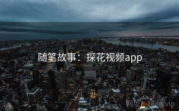 随笔故事:探花视频app