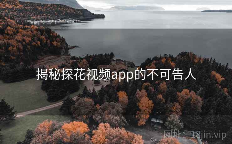 揭秘探花视频app的不可告人