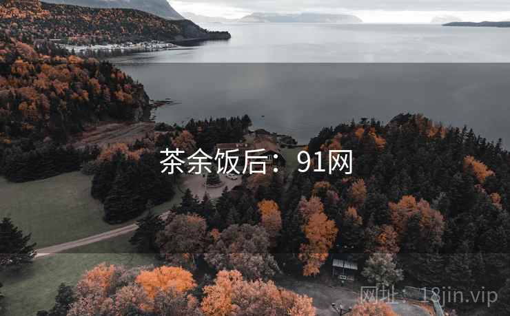 茶余饭后:91网